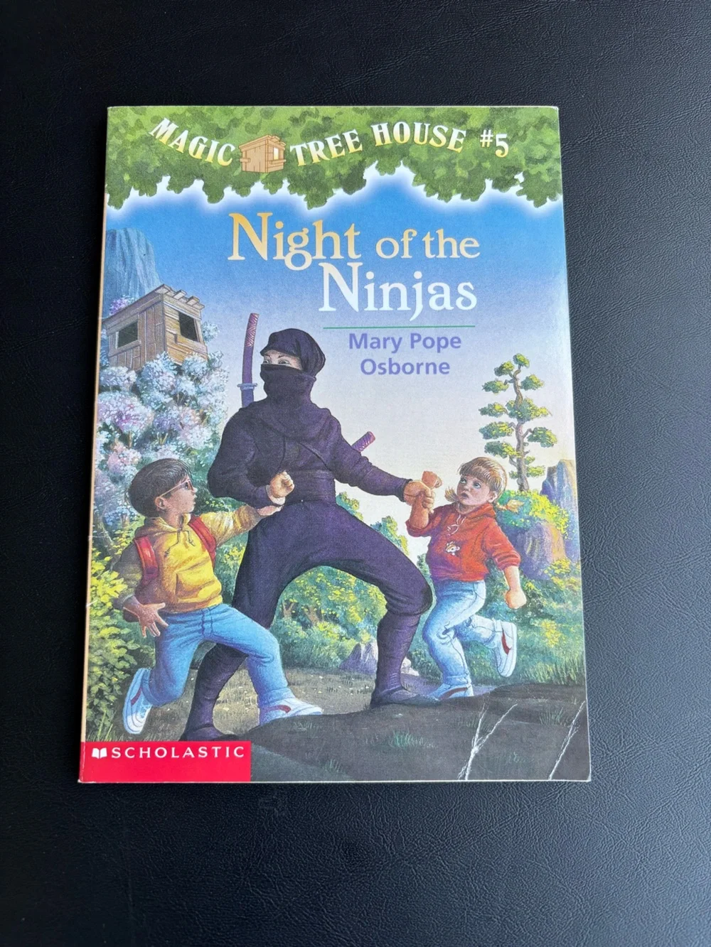Magic Tree House Children's Books - Books #1 - #10
